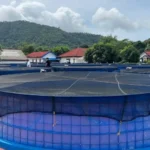 Cara Budidaya Kolam Bioflok Lele