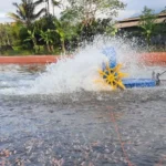 Fungsi Manfaat Aerator Kolam Ikan Nila