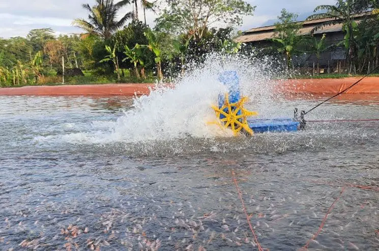 Fungsi Manfaat Aerator Kolam Ikan Nila