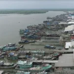 Keuntungan dan Kerugian Pakan Udang Vaname Tradisional