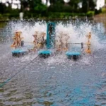 Waktu Pemberian Pakan Ikan Patin agar Sehat dan Berkualitas